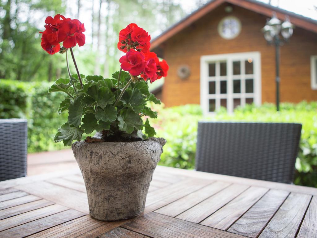Vila Luxurious Chalet In Oud Turnhout With Large Garden Oud-Turnhout Exteriér fotografie