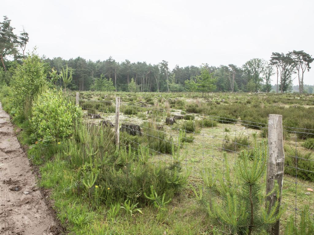 Vila Luxurious Chalet In Oud Turnhout With Large Garden Oud-Turnhout Exteriér fotografie